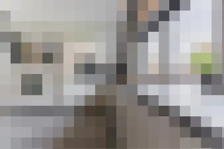 Helmondsestraat 33 f Bakel thumbnail 4