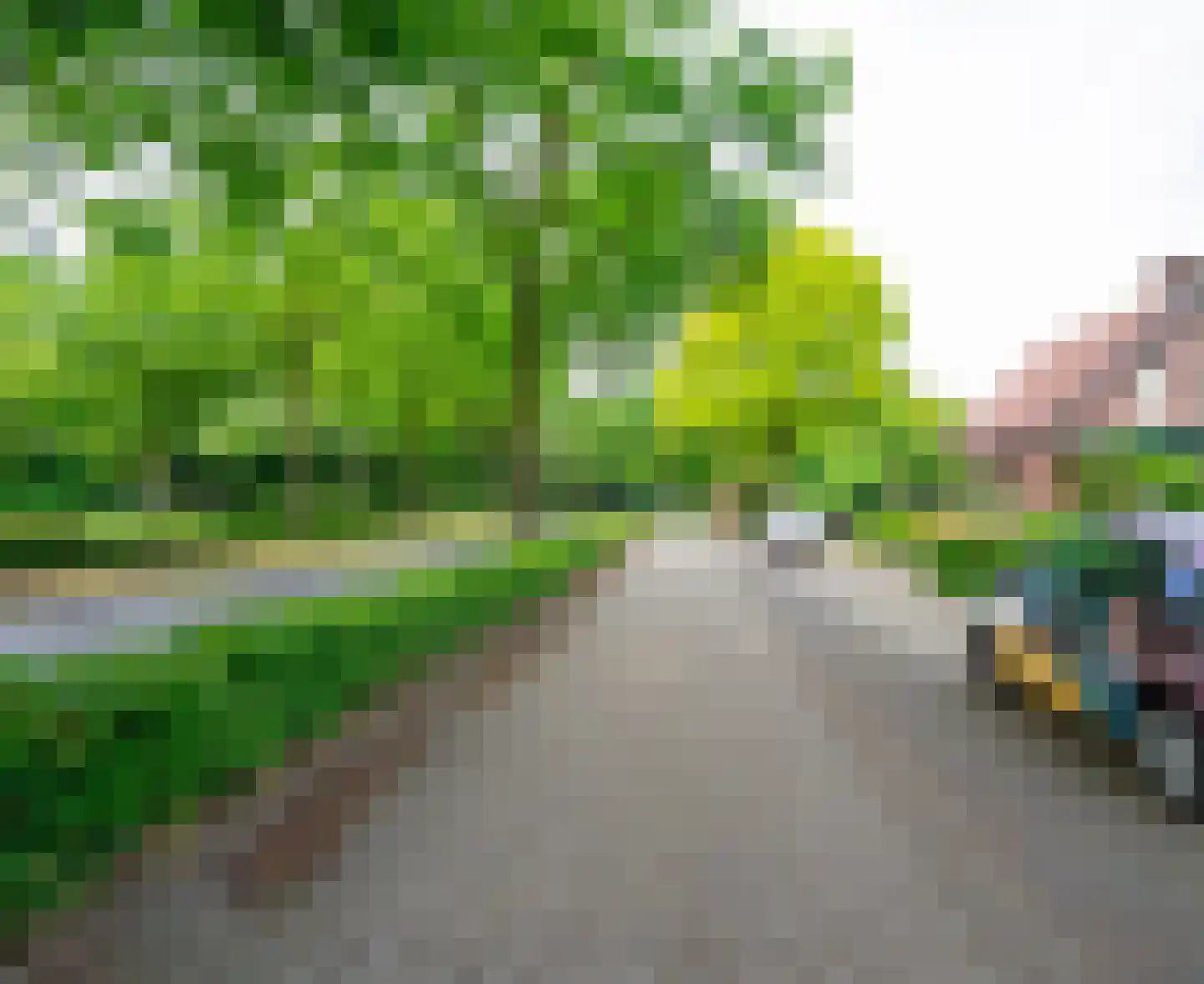 Helmondsestraat 66 Bakel thumbnail 56