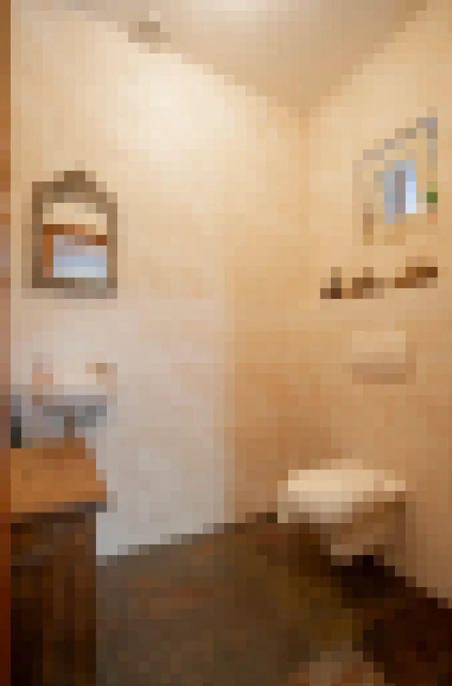 Helmondsestraat 66 Bakel thumbnail 8