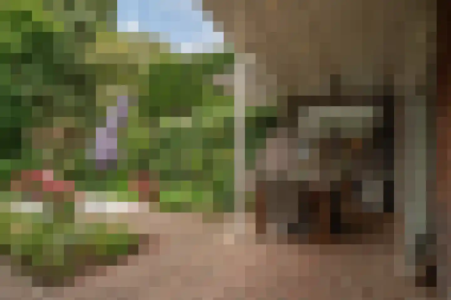Helmondseweg 25 Deurne thumbnail 17