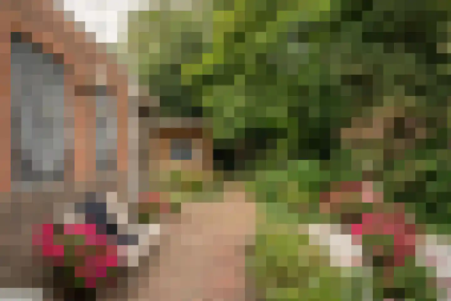 Helmondseweg 25 Deurne thumbnail 18