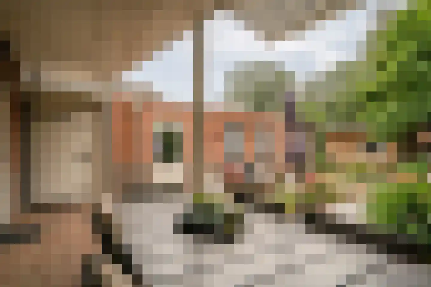 Helmondseweg 25 Deurne thumbnail 21