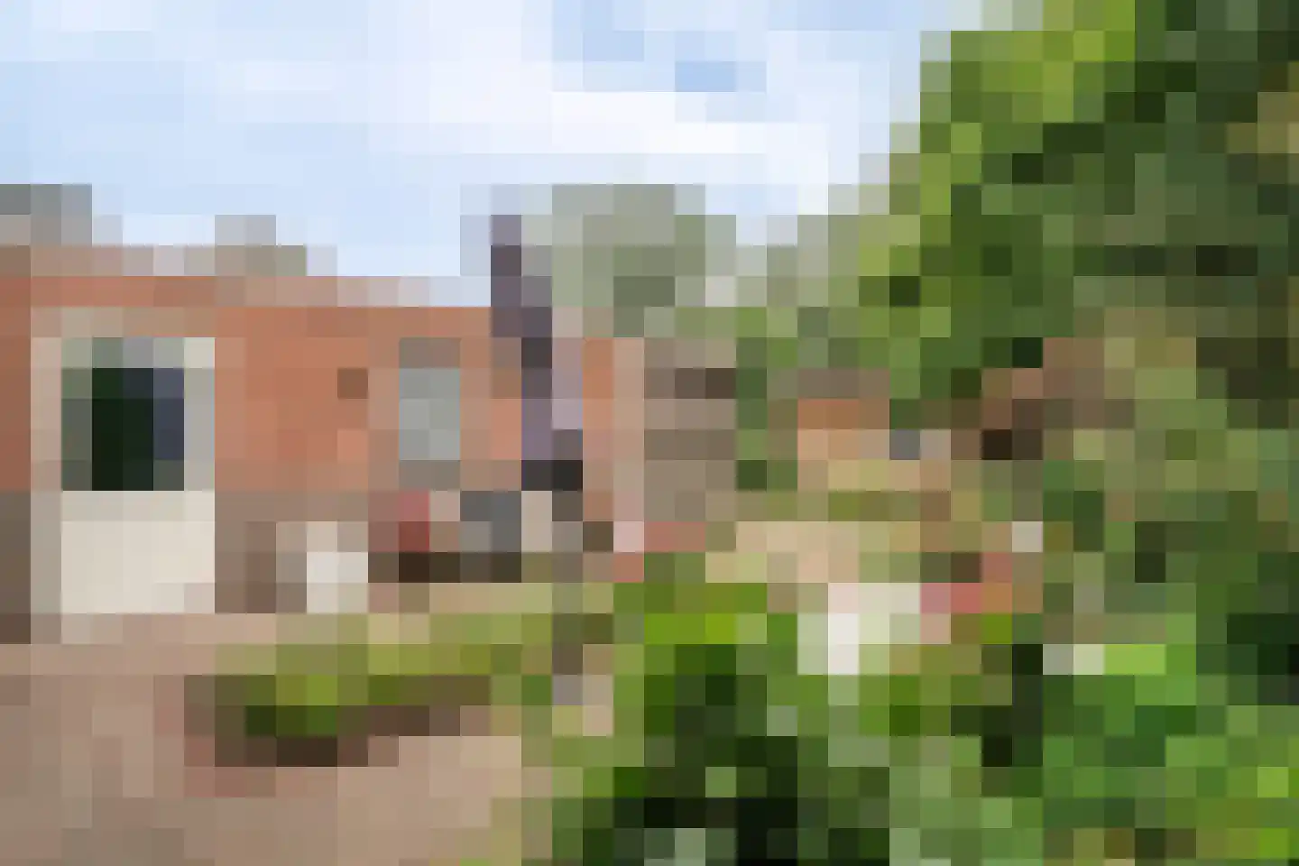 Helmondseweg 25 Deurne thumbnail 22