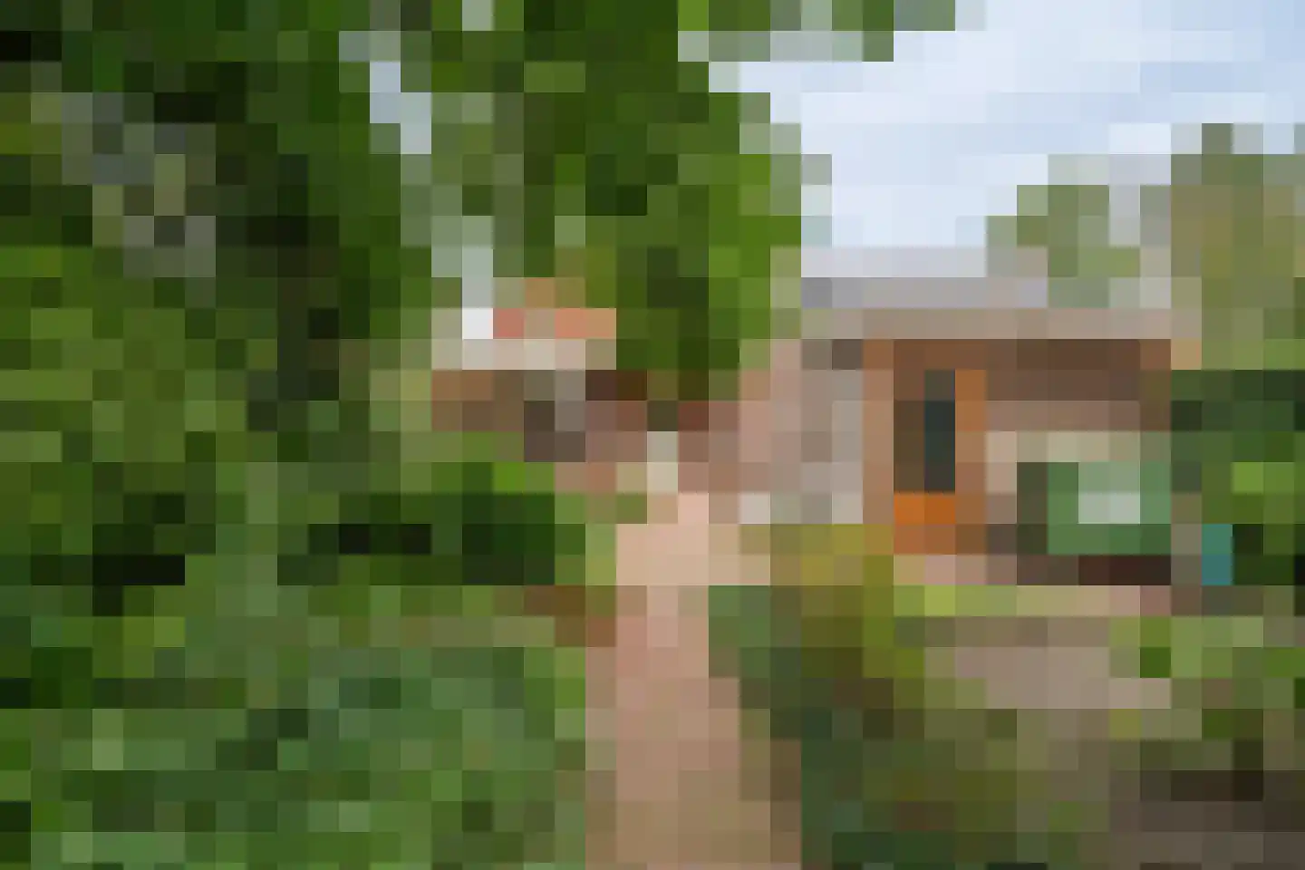 Helmondseweg 25 Deurne thumbnail 27