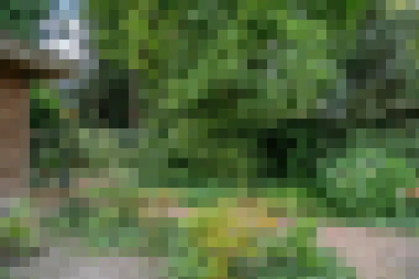 Helmondseweg 25 Deurne thumbnail 28