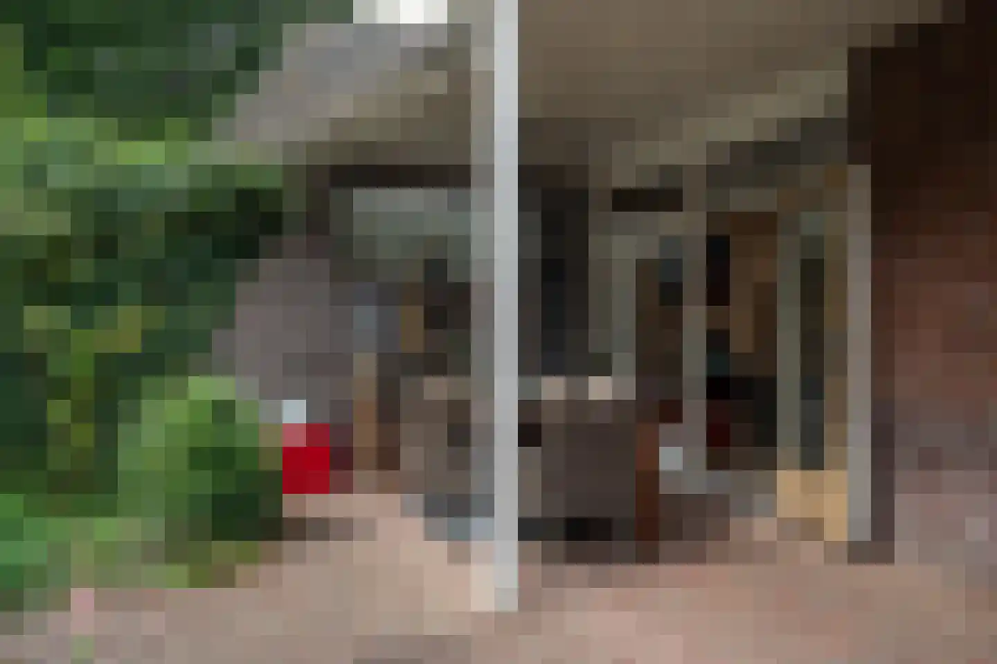 Helmondseweg 25 Deurne thumbnail 30