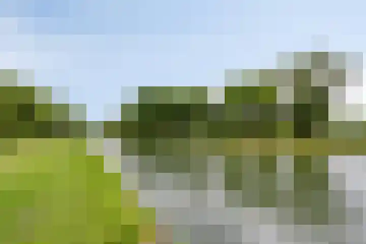 Helmondseweg 5 Weert thumbnail 37