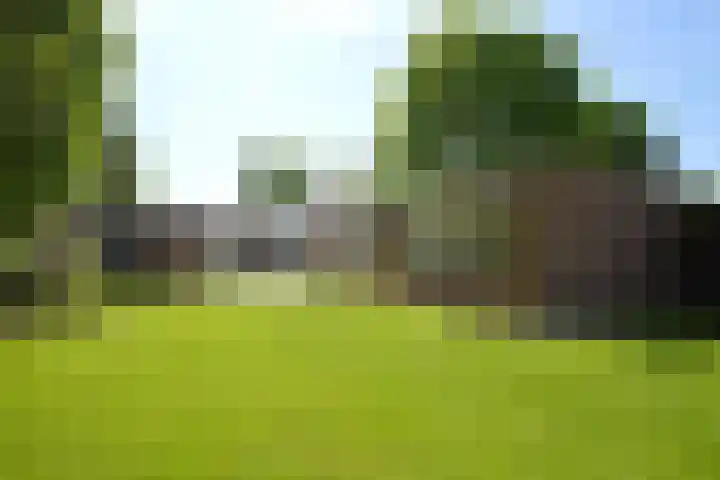 Helmondseweg 90 Deurne thumbnail 17