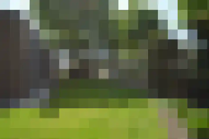 Helmondseweg 90 Deurne thumbnail 22