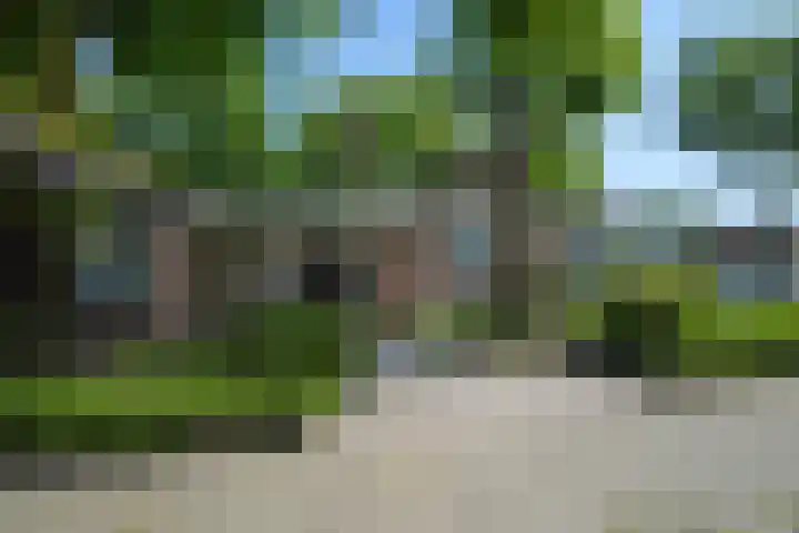 Helmondseweg 90 Deurne thumbnail 23
