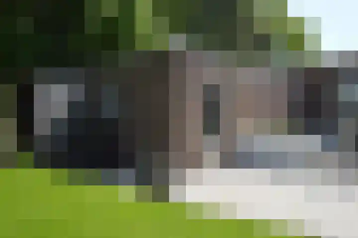 Helmondseweg 90 Deurne thumbnail 25