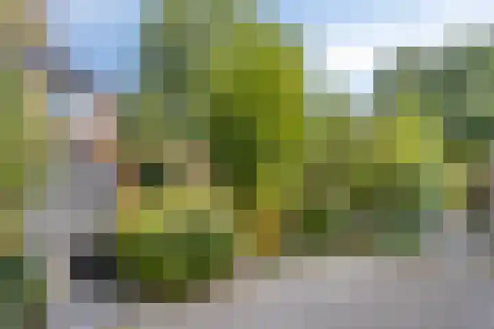 Helmondstraat 110 Arnhem thumbnail 6