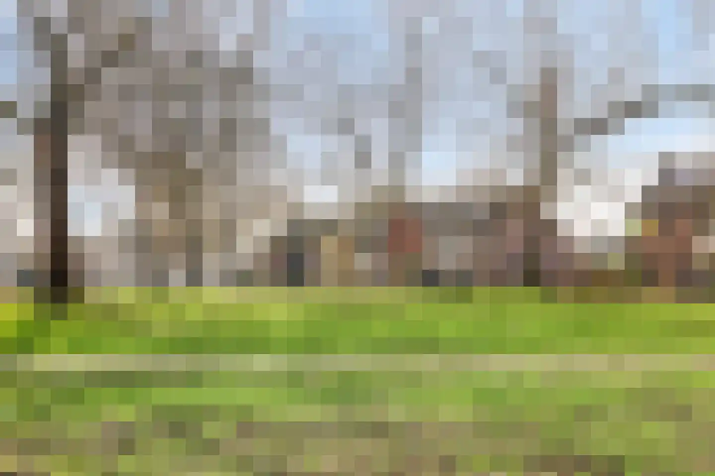 Helmondstraat 228 Arnhem thumbnail 41