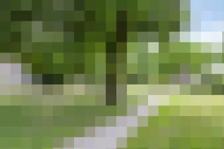 Helmondstraat 3 Arnhem thumbnail 33