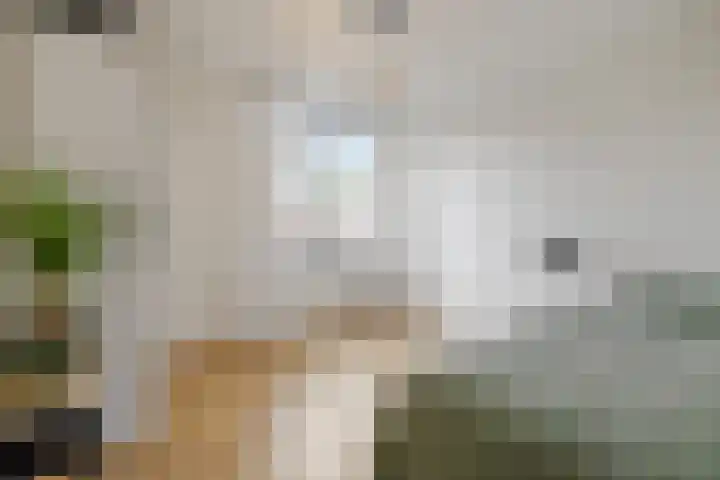 Helmondstraat 40 Almere thumbnail 22