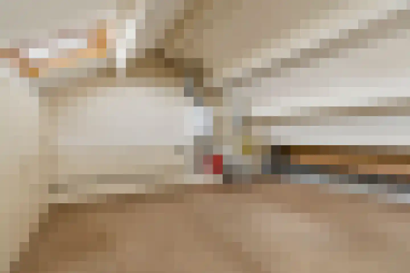 Helmondstraat 49 Arnhem thumbnail 25