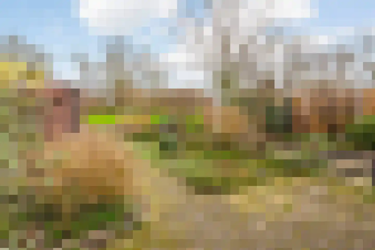 Helmondstraat 66 Arnhem thumbnail 21