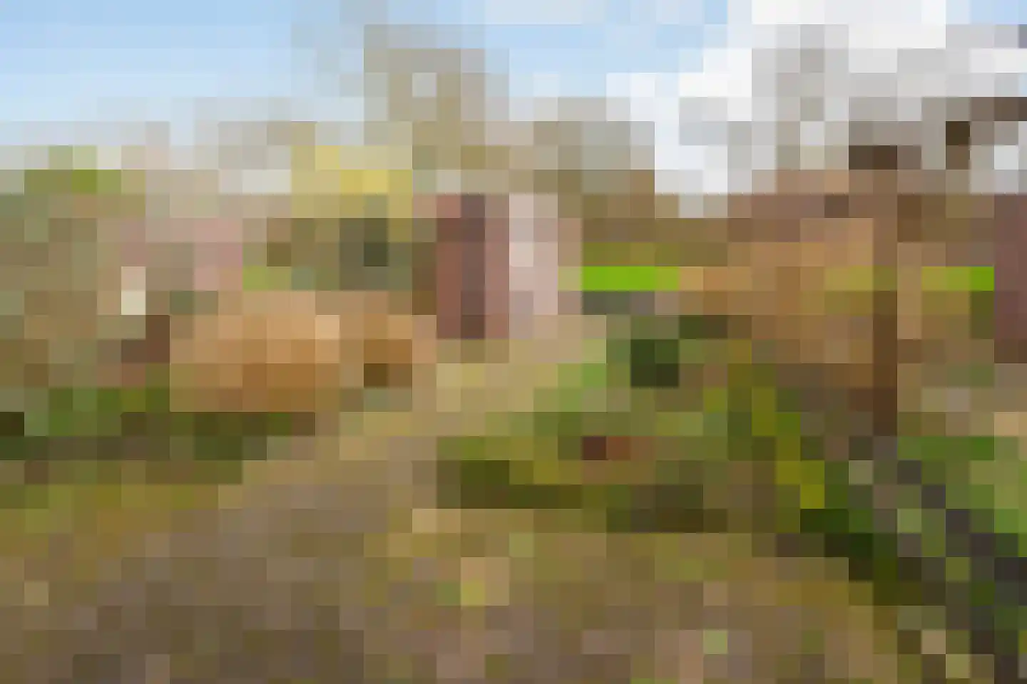 Helmondstraat 66 Arnhem thumbnail 22