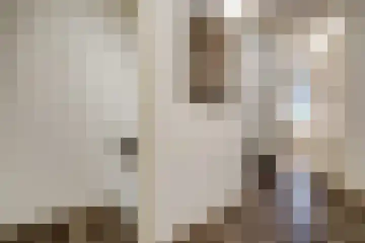 Helmondstraat 8 Arnhem thumbnail 16