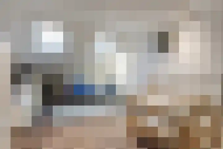 Helmondstraat 8 Arnhem thumbnail 25