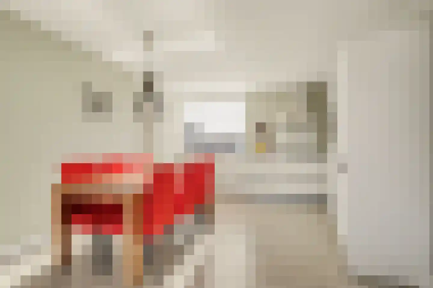 Helmstraat 16 A Monster thumbnail 10