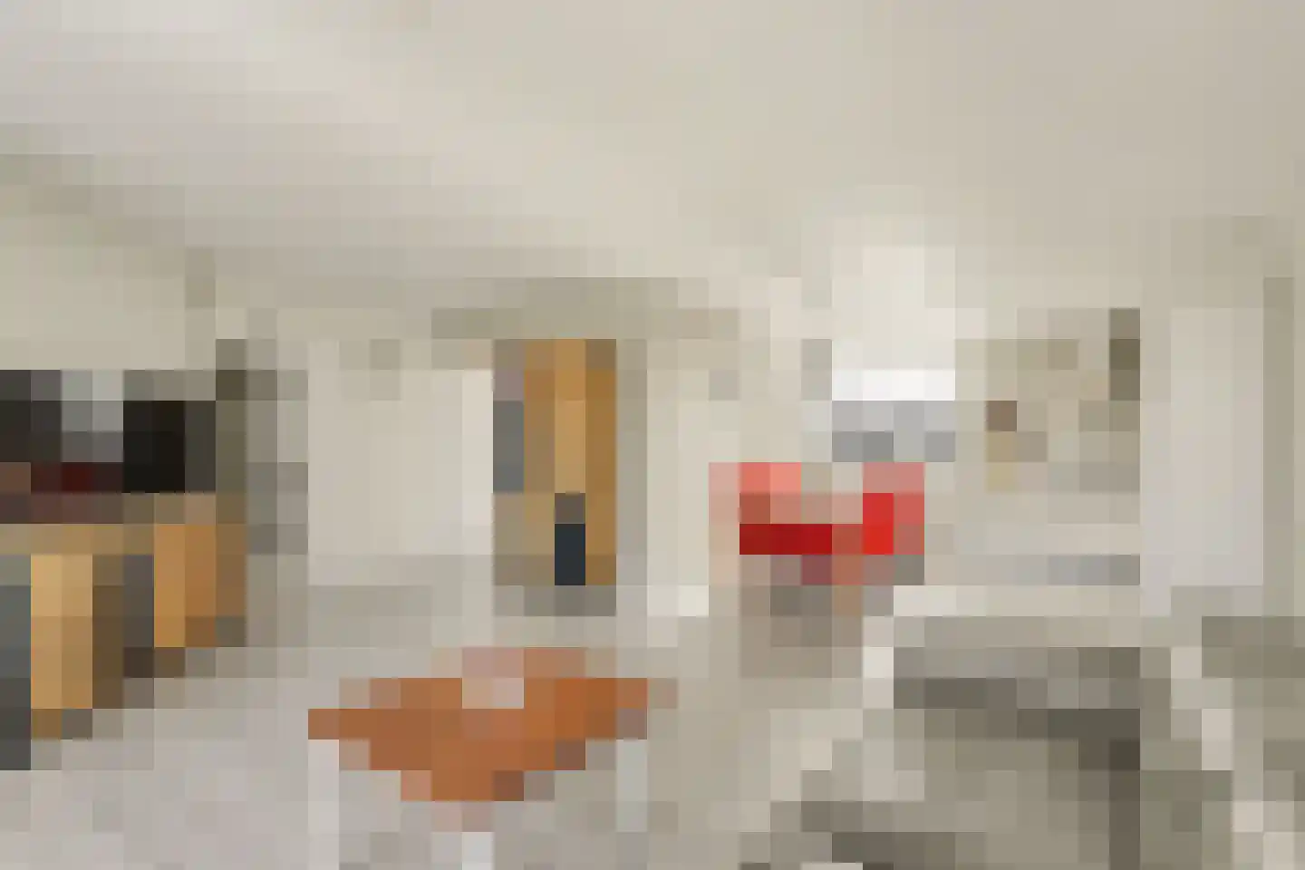 Helmstraat 16 A Monster thumbnail 7