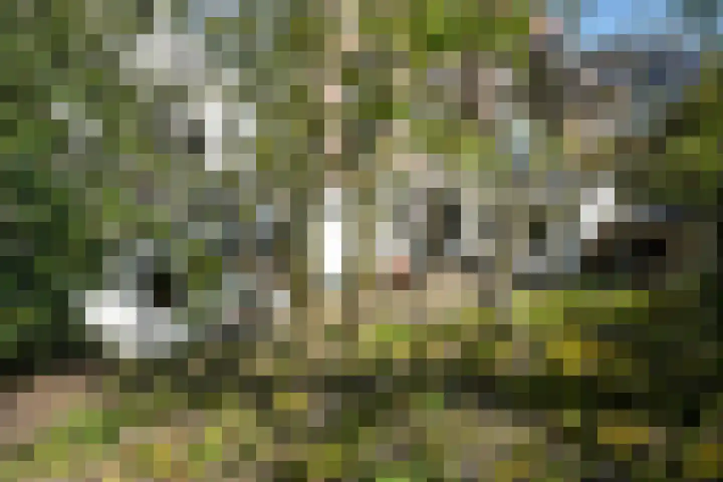 Helmstraat 2 E Den Haag thumbnail 27