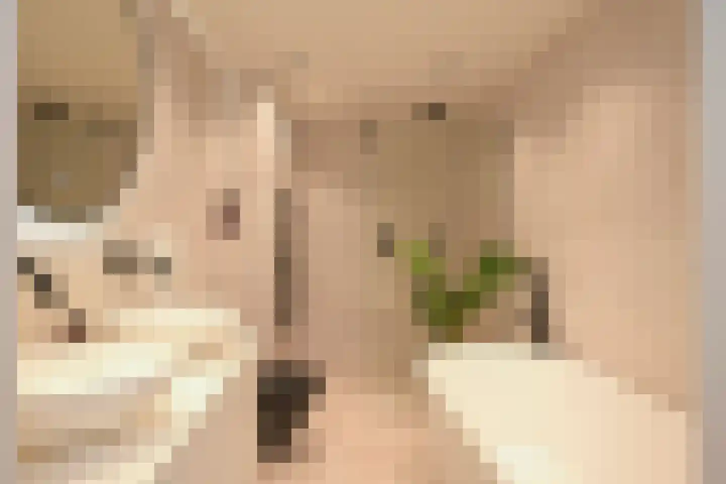 Helmstraat 2 E Den Haag thumbnail 4