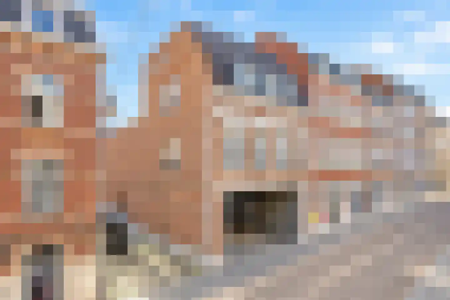 Helmstraat 5 B 01 in Maastricht
