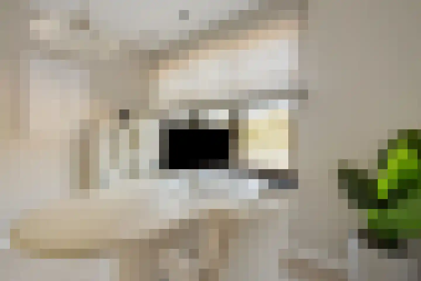 Helmusweg 12 Venlo thumbnail 12