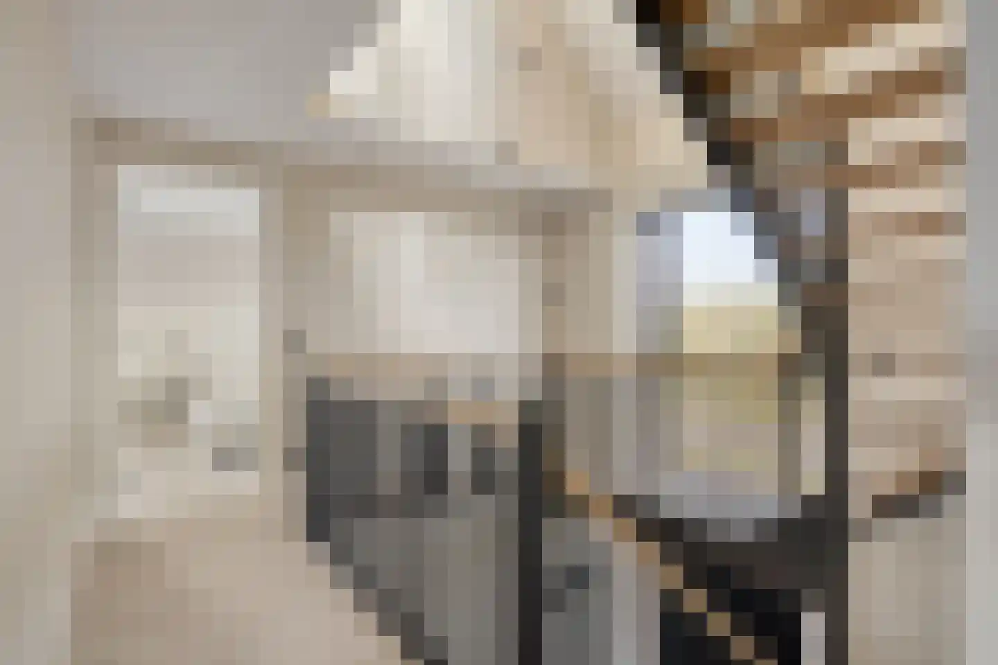 Helmusweg 12 Venlo thumbnail 14
