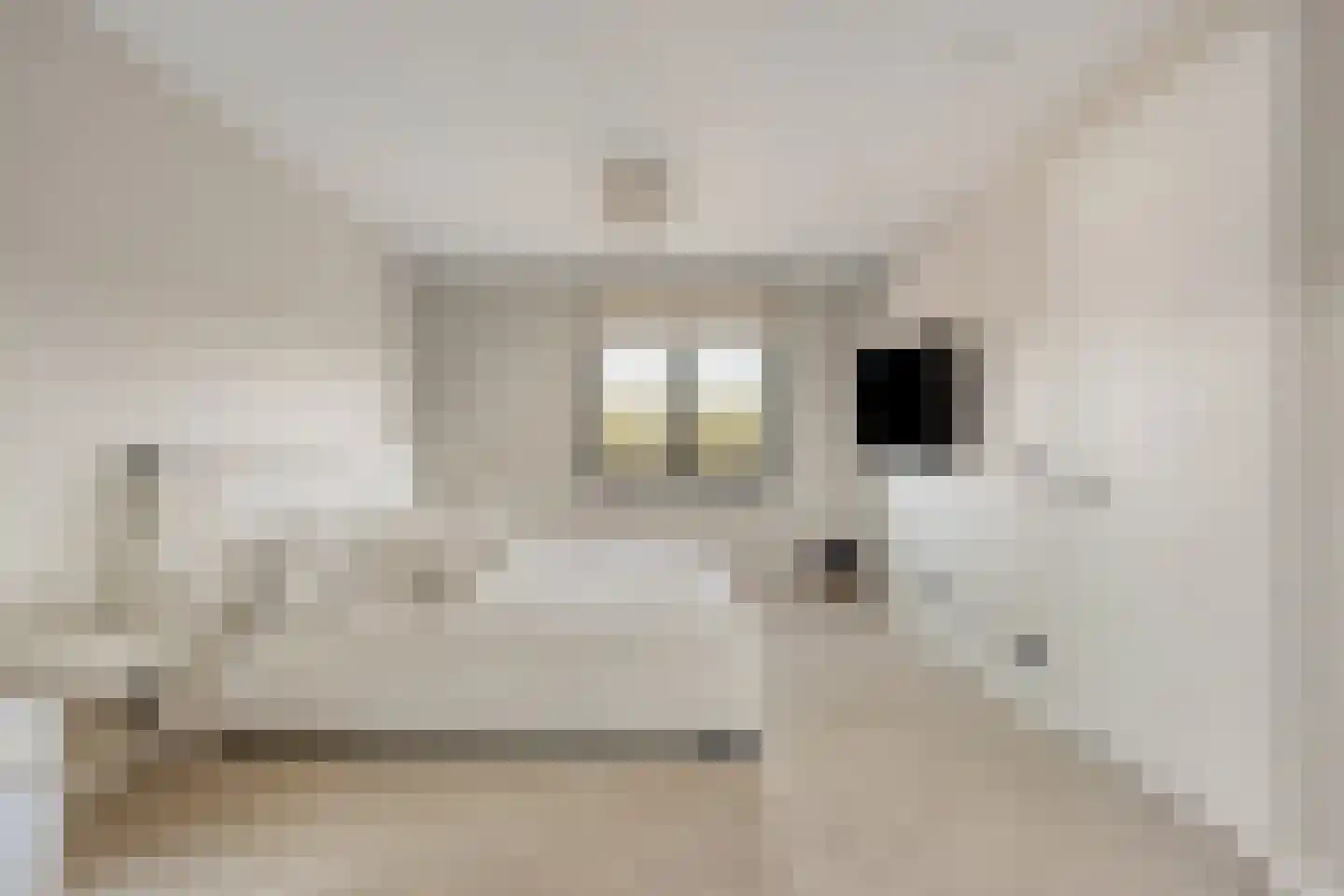 Helmusweg 12 Venlo thumbnail 15