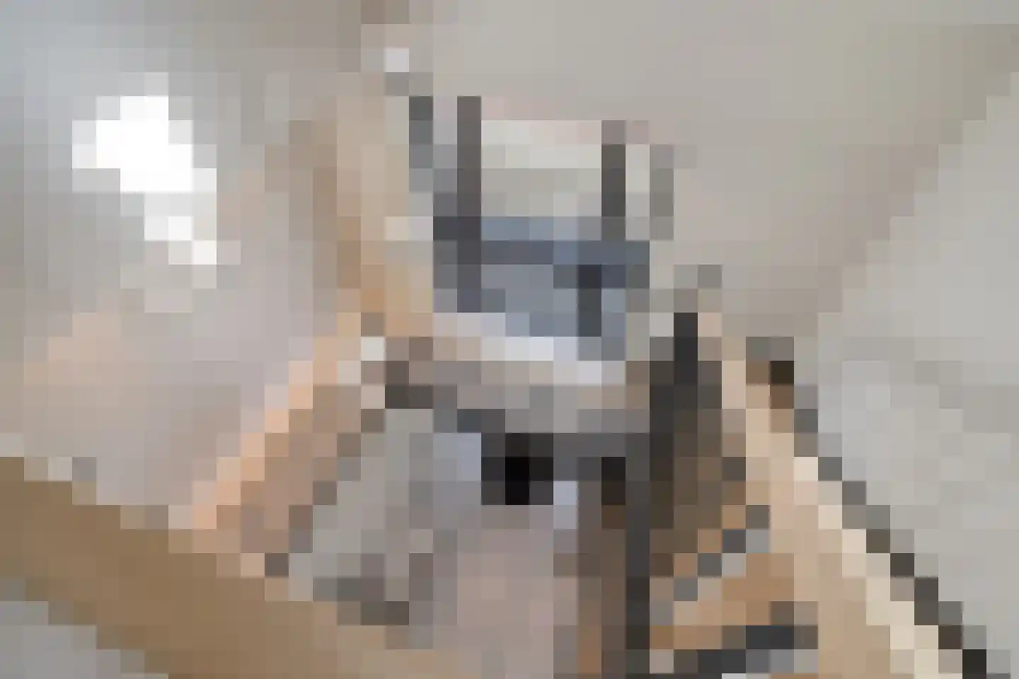 Helmusweg 12 Venlo thumbnail 27