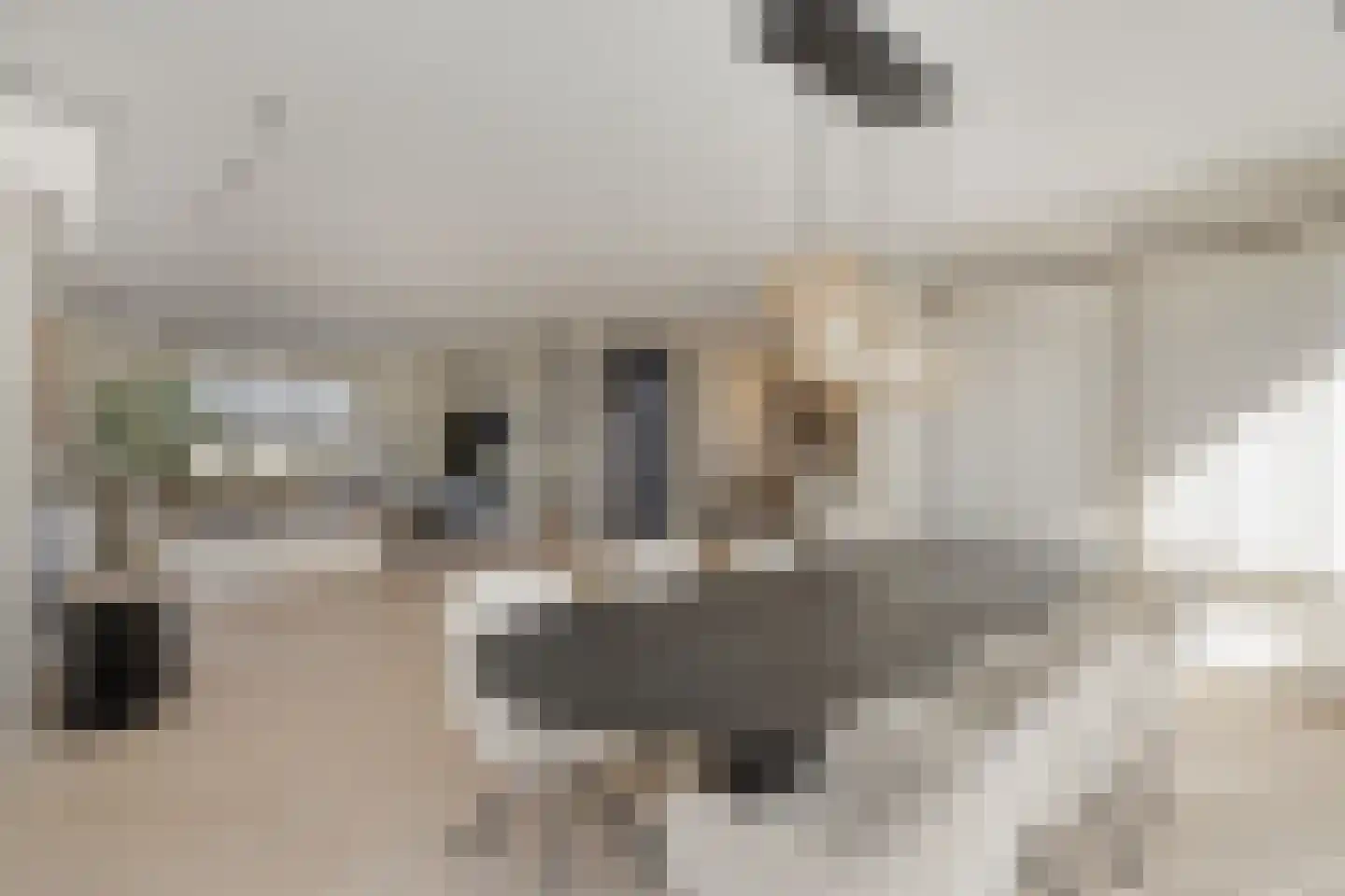 Helmusweg 12 Venlo thumbnail 7