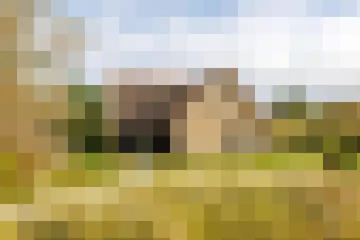 Helmweg 1 Buren thumbnail 39