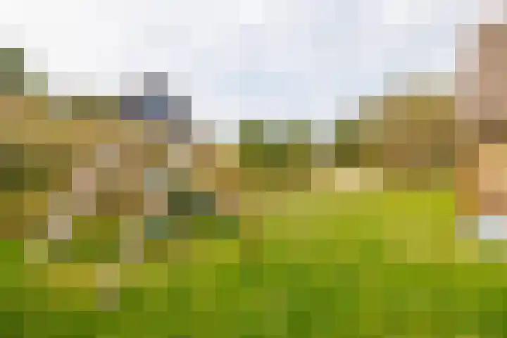 Helmweg 1 Buren thumbnail 44