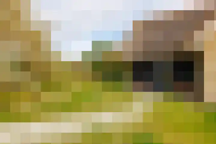 Helmweg 1 Buren thumbnail 48