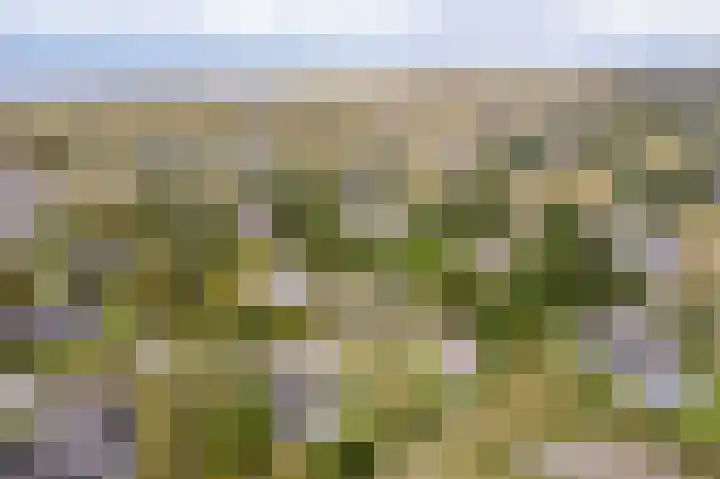 Helmweg 1 Buren thumbnail 53