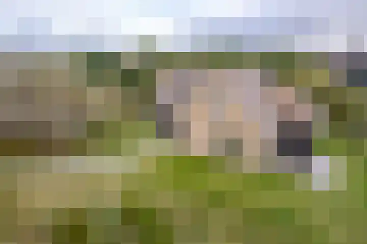 Helmweg 1 Buren thumbnail 7