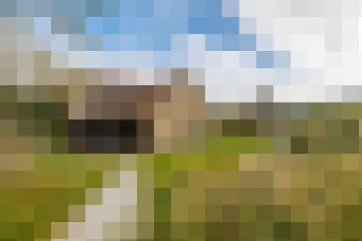 Helmweg 1 Buren thumbnail 8