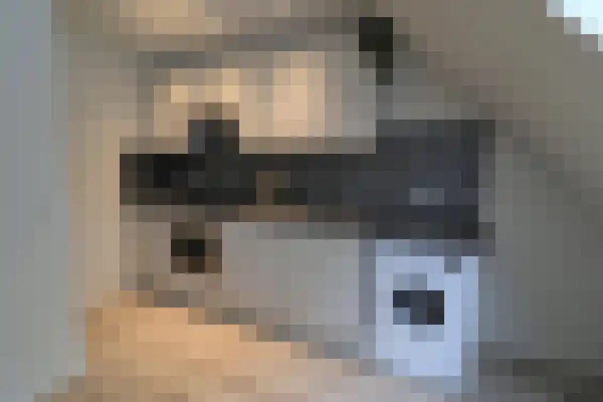 Helper Brink 11 Groningen thumbnail 4