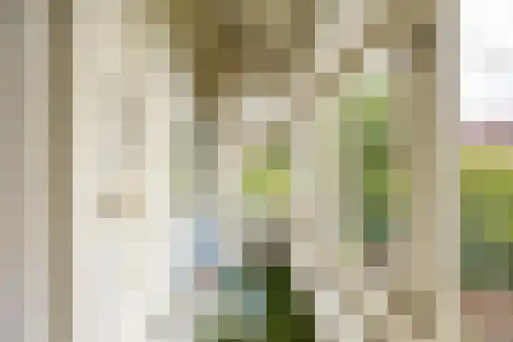 Helper Brink 21 a Groningen thumbnail 14