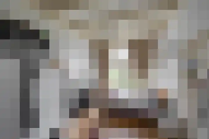 Helper Brink 21 a Groningen thumbnail 15