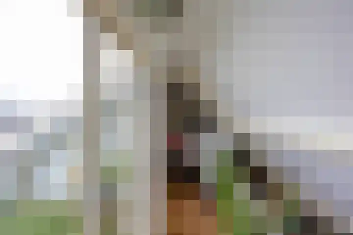 Helper Brink 21 a Groningen thumbnail 31