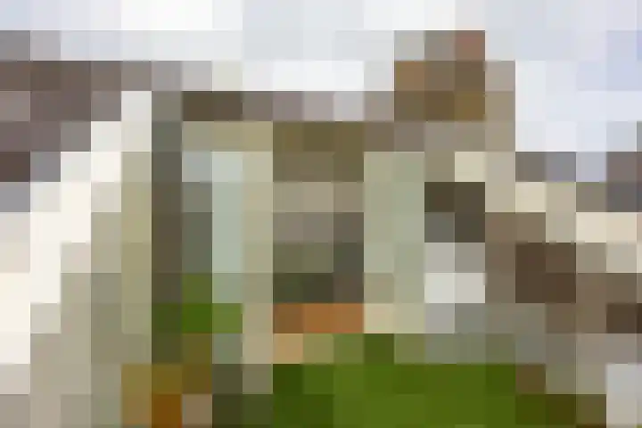 Helper Brink 21 a Groningen thumbnail 32