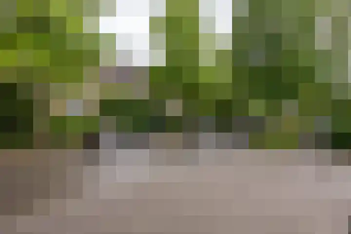 Helper Brink 21 a Groningen thumbnail 36