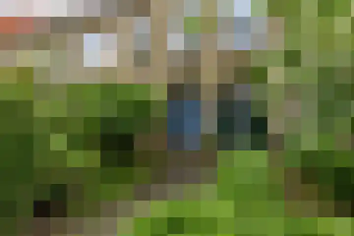 Helper Brink 21 a Groningen thumbnail 5