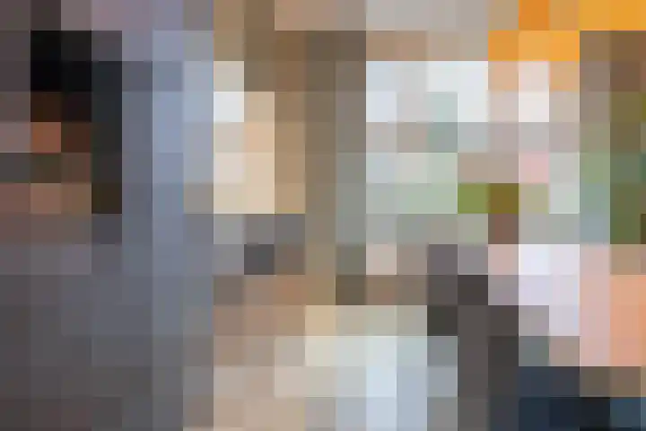 Helper Brink 21 Groningen thumbnail 15