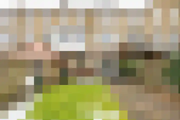 Helper Brink 21 Groningen thumbnail 4