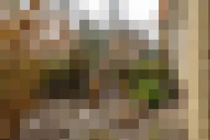 Helper Brink 21 Groningen thumbnail 6